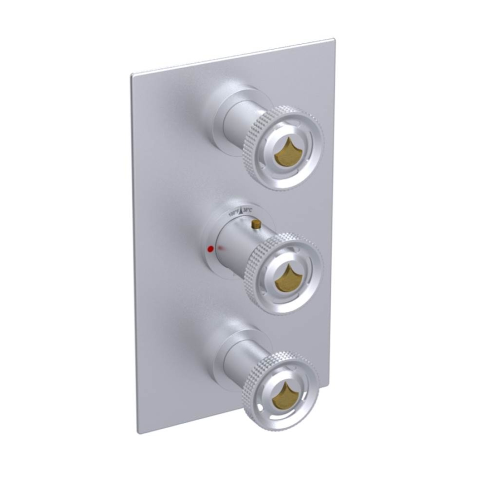 Temperature Control Valve with Stops & Two Volume Controls  (Trim Only)