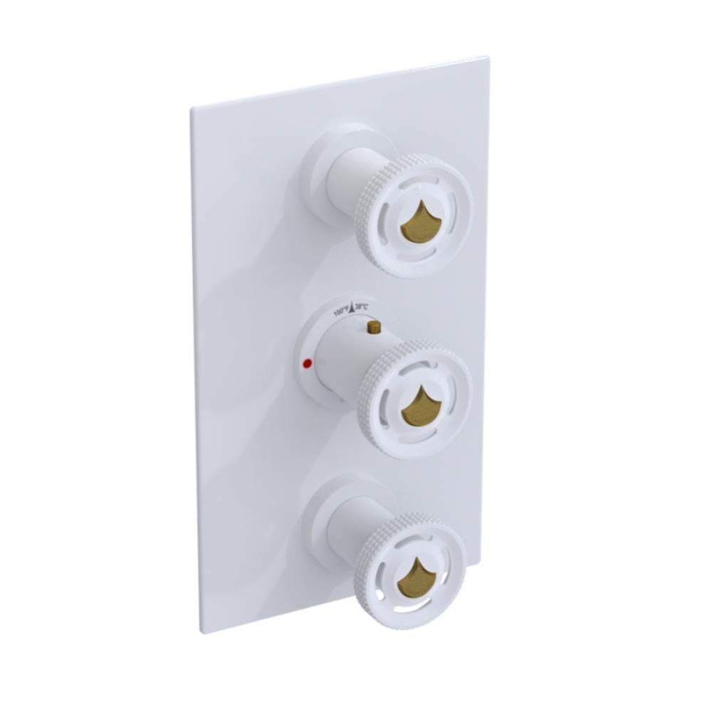 Temperature Control Valve with Stops & Two Volume Controls  (Trim Only)