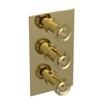 Rubinet Canada T4SLARBBGD - Temperature Control Valve with Stops & Two Volume Controls  (Trim Only)