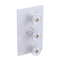 Rubinet Canada T4SLARMWGD - Temperature Control Valve with Stops & Two Volume Controls  (Trim Only)