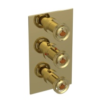 Rubinet Canada T4SLARNBACM - Temperature Control Valve with Stops & Two Volume Controls  (Trim Only)