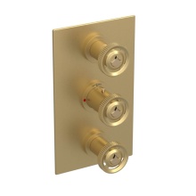 Rubinet Canada T4SLARSBGD - Temperature Control Valve with Stops & Two Volume Controls  (Trim Only)