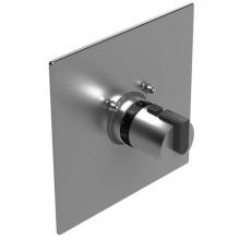 Rubinet Canada T4MRT0CHRD - Trim Temperature Control Valve