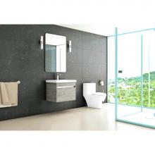 Tidal Bath Canada TBE-246 - New Echo-24 wall-mount single-sink set