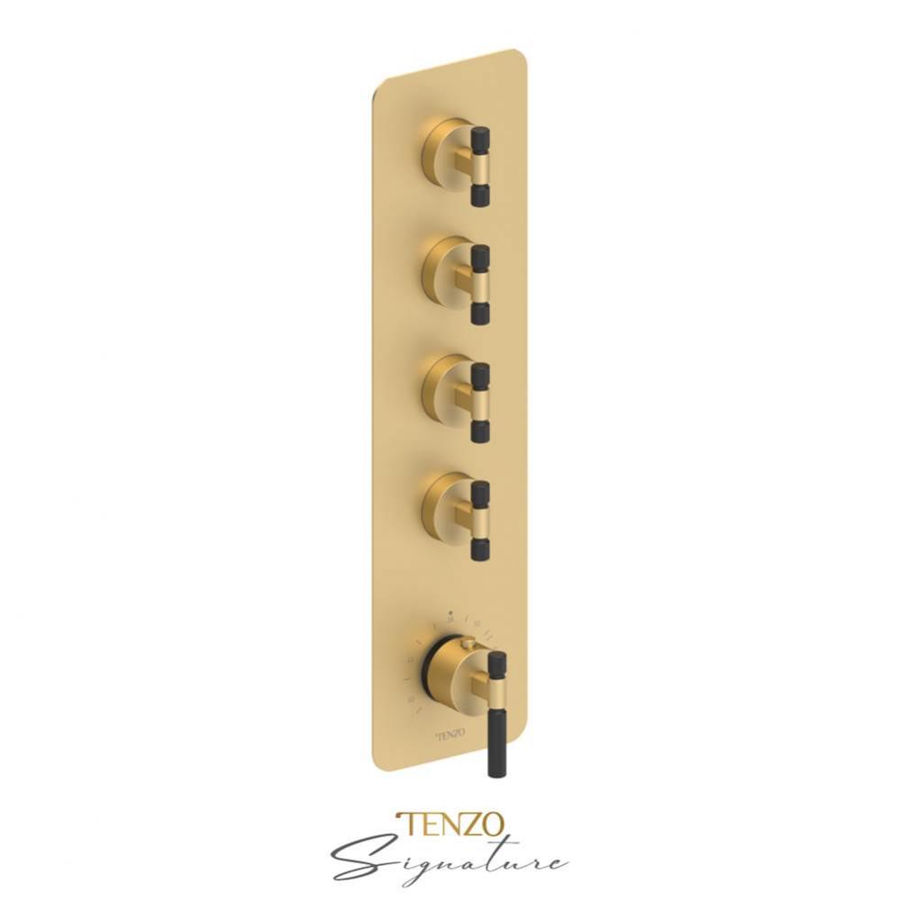 Extenza valve 4 fcts thermo Bellacio-F brushed gold/matte black