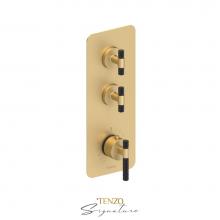 Tenzo F-BET42-C-BG-MB - Trim for Extenza valve 2 fcts thermo Bellacio-C brushed gold/matte black