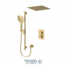 Tenzo F-DEPB32-21164-BG - Trim for Delano T-Box kit 2 functions pres bal brushed gold finish