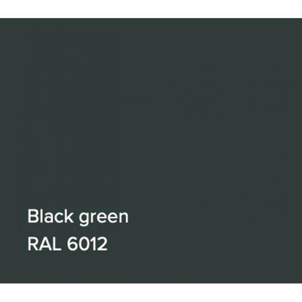 RAL Basin Black Green Matte