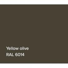 Victoria + Albert B-RAL6014G - RAL Bathtub Yellow Olive Gloss