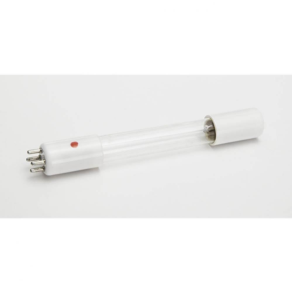 BlueZone Replacememnt Bulb