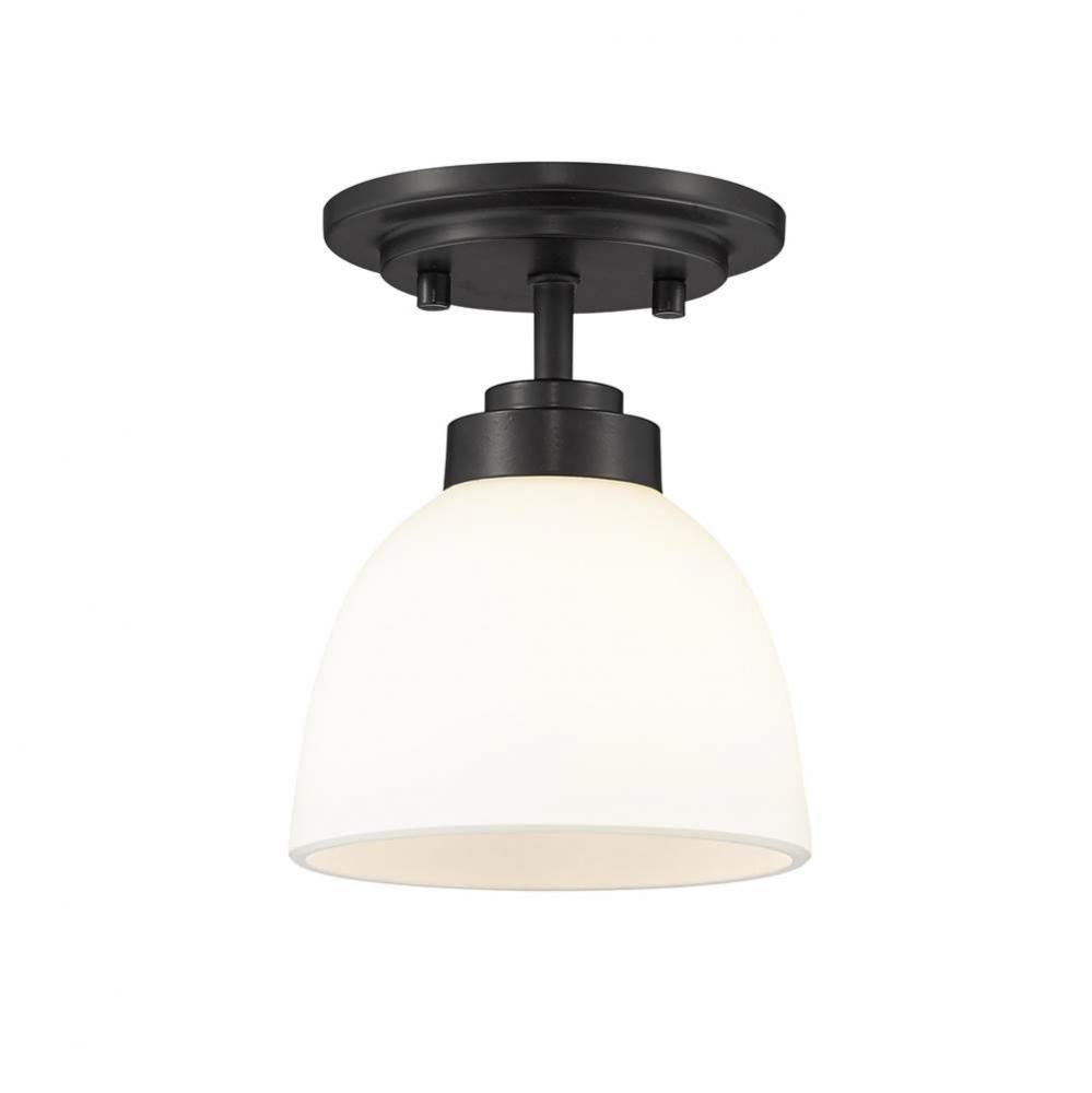 1 Light Flush