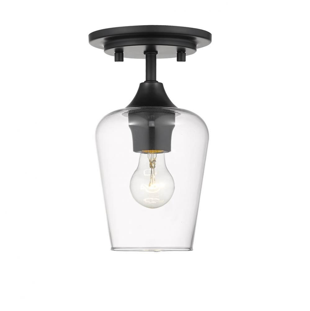 1 Light Flush