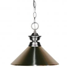 Z-Lite 100701BN-MBN - 1 Light