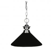 Z-Lite 100701BN-MMB - 1 Light