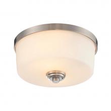Z-Lite 226F2 - 2 Light Flush