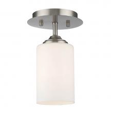 Z-Lite 435F1-BN - 1 Light Flush