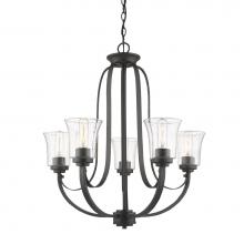 Z-Lite 461-5BRZ - 5 Light