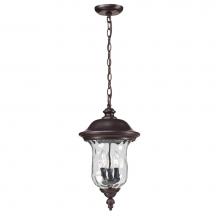 Z-Lite 533CHB-RBRZ - Outdoor Chain