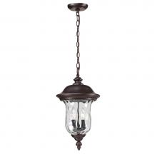 Z-Lite 533CHM-RBRZ - Outdoor Chain