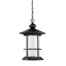 Z-Lite 552CHB-BK-LED - Outdoor LED Chain Hung