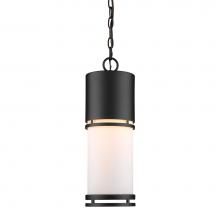 Z-Lite 560CHB-BK-LED - Outdoor LED Chain Hung