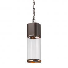 Z-Lite 562CHB-DBZ-LED - 1 Light Outdoor Chain