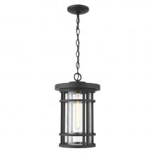 Z-Lite 570CHB-BK - 1 Light Outdoor Chain Mount Ceiling
