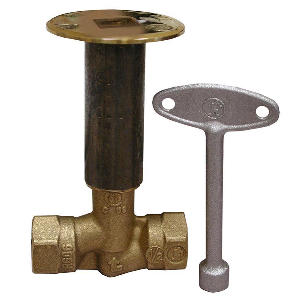 Polished Brass Straight Standard Log Lighter Valve