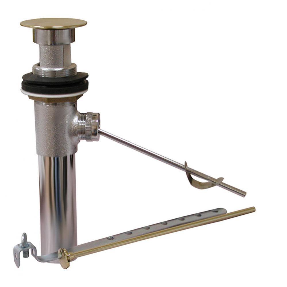 Polished Brass Pop-Up Assembly with Overflow